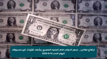 ارتفاع مفاجئ.. سعر الدولار أمام الجنيه المصري يشهد تغيّرات غير مسبوقة اليوم الأحد 14-9-2025